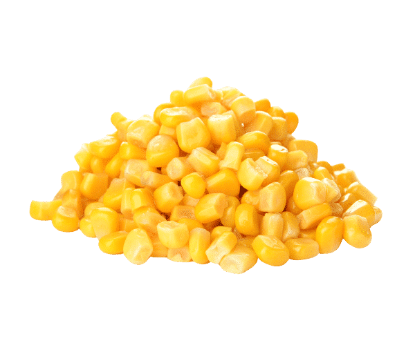 A pile of corn, also known as maize, grain.