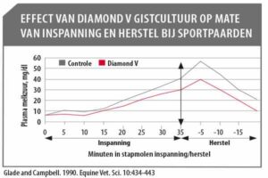 Wirkung der Diamond V Hefekultur auf das Maß an Anstrengung und Erholung bei Sportpferden