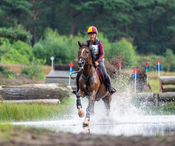 Eventing horse cantering through the course after which it can experince mucle stiffness