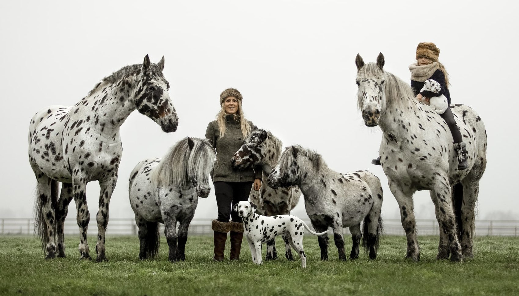 Human & Horse Academy family photo with five horses and two dogs.