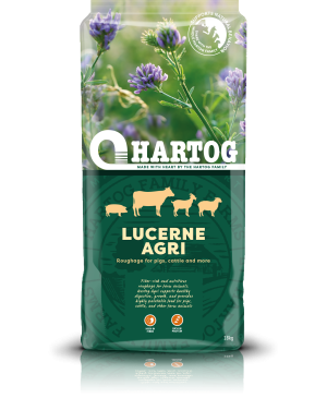Hartog Lucerne Agri