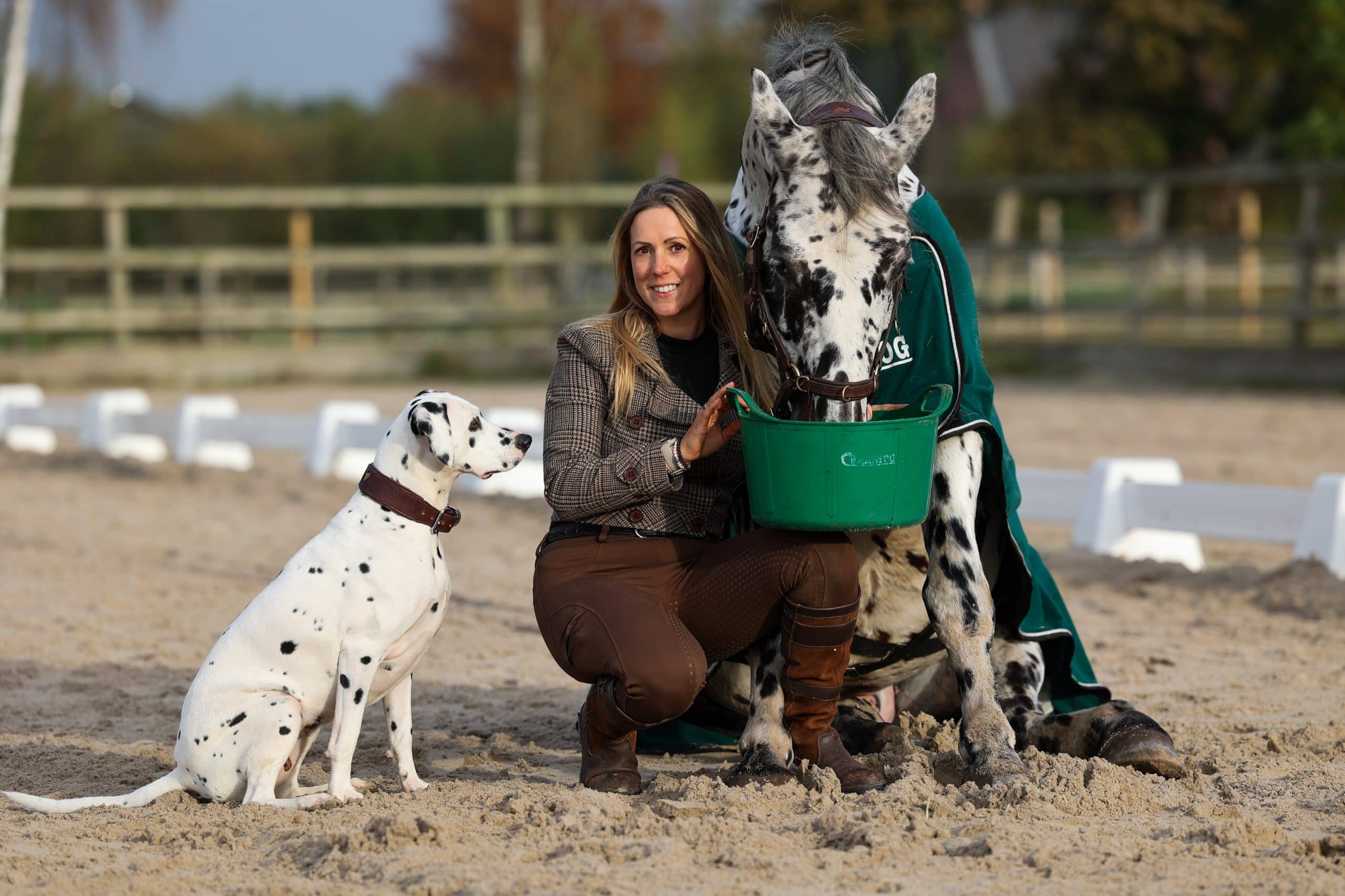 Human & Horse Academy feeding Hartog.