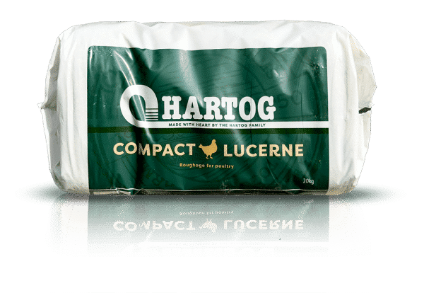 Hartog Compact Luzerne