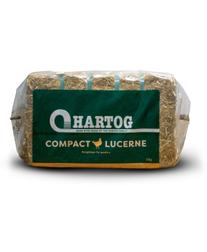 Hartog Compact Luzerne