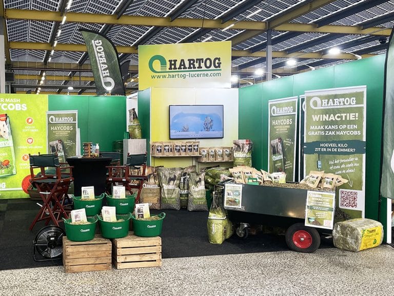 horse event stand hartog