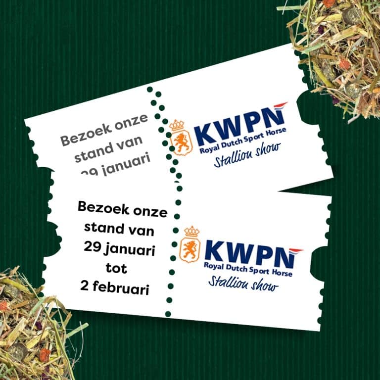 KWPN Stallion Show 2025