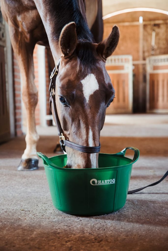 paard die uit een Hartog FlexiTrug eet