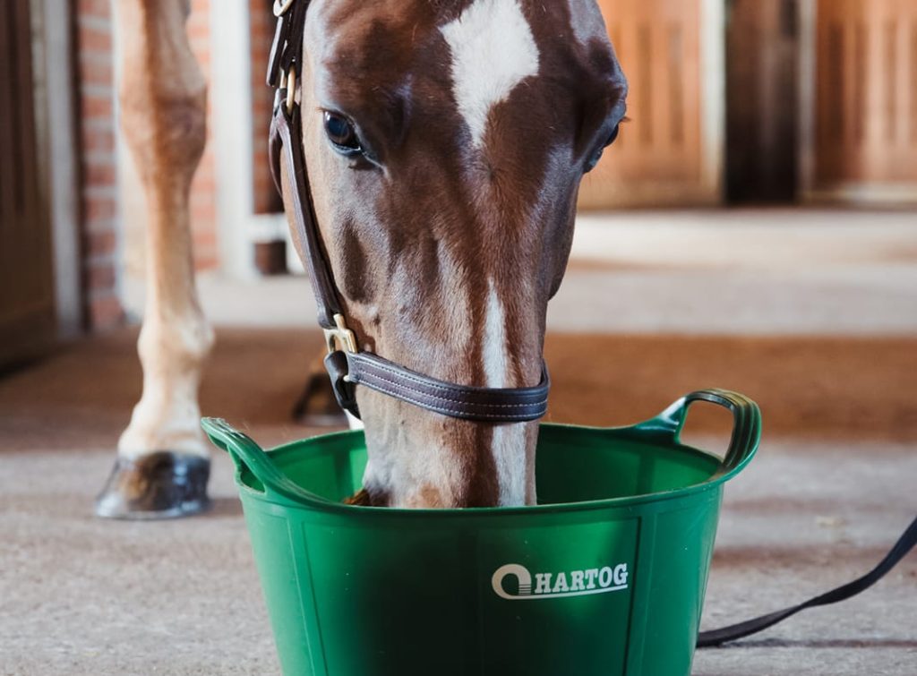 paard die uit een Hartog FlexiTrug eet