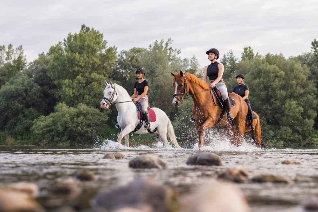Vakantie met paard