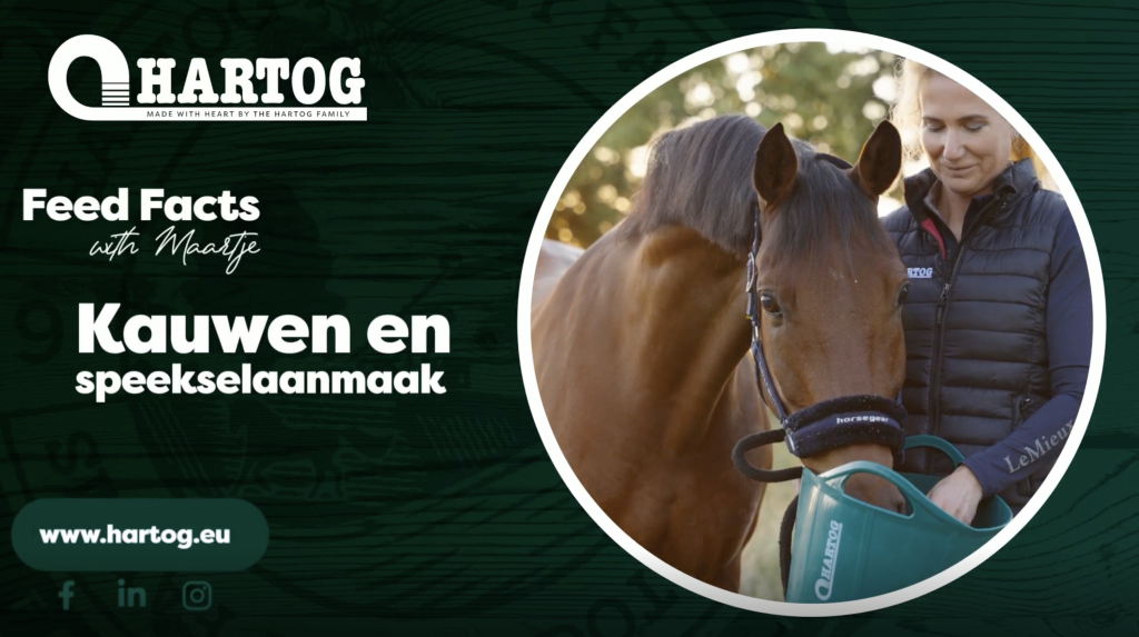 Feeed Facts Kauwen en speekselaanmaak