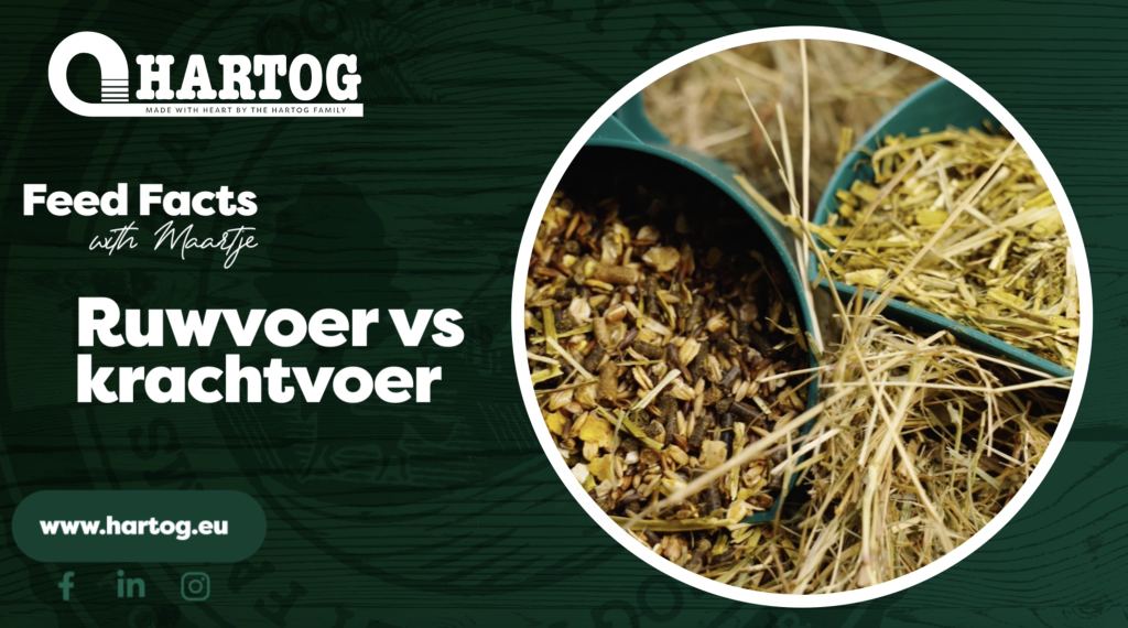 ruwvoer vs krachtvoer