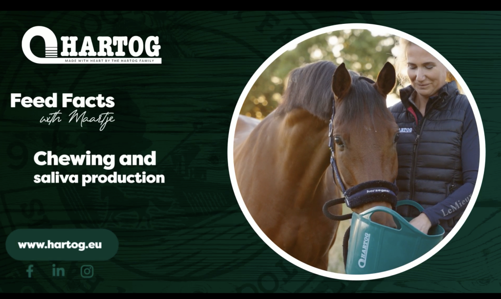 Feed Facts: horse without forage