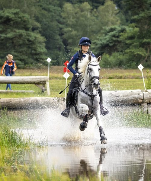 horse jumping water