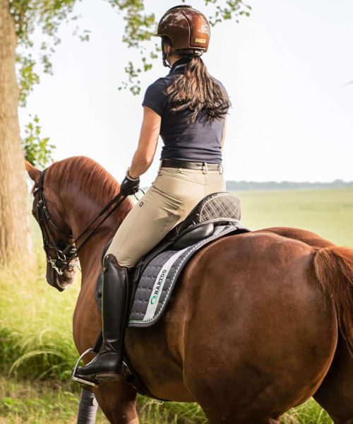 horse-riding-dressage
