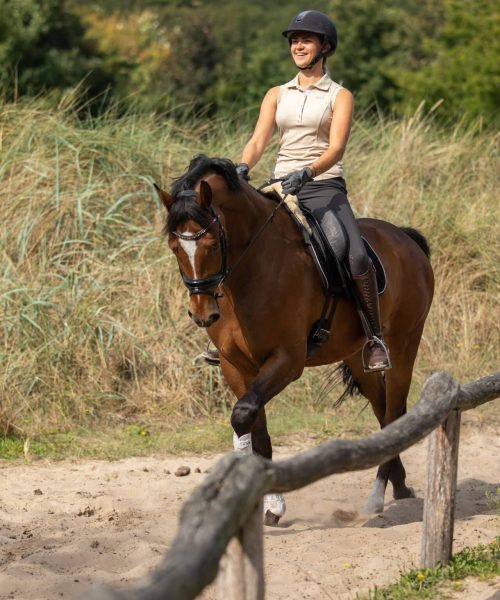 riding-brown-horse-leisure-3M5A8115